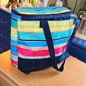 31 cooler bag